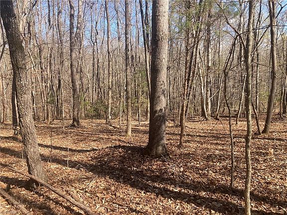 2nd image of Jarvis Miller Rd