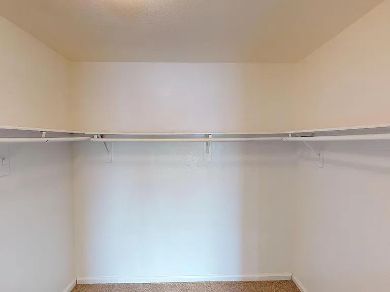 10005 Mystic Dance St — Photo 22