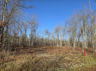 5850 Bear Lake Dr, Johannesburg, MI 49751