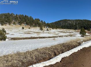 491 Penrose Cir, Florissant, CO 80816