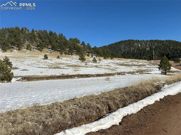 491 Penrose Cir, Florissant, CO 80816