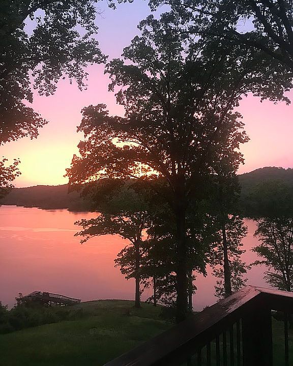 View from dining room window