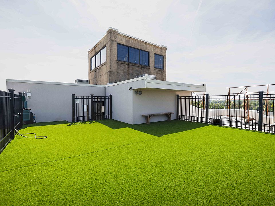 Rooftop Dog Park