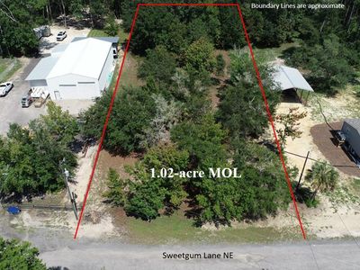 0 NE Sweet Gum Ln, Steinhatchee, FL, 32359