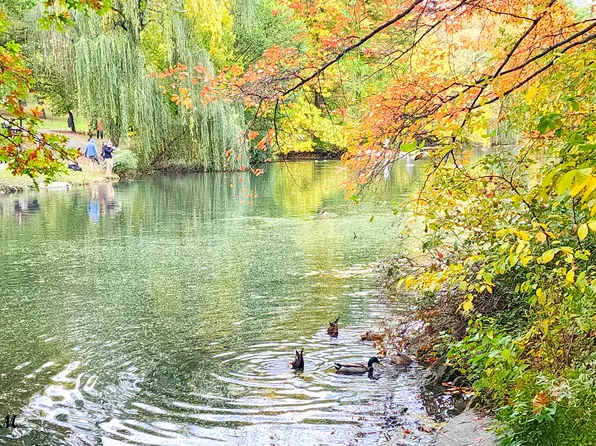 200 West 58th Street image 9 of 14