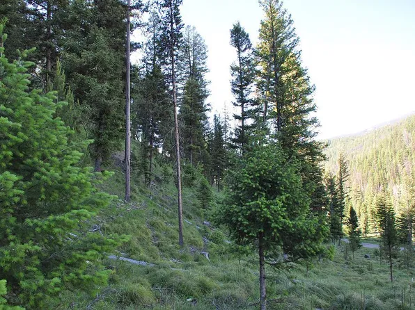 0 Kokopelli Dr Lot 16, Gibbonsville, ID 83463