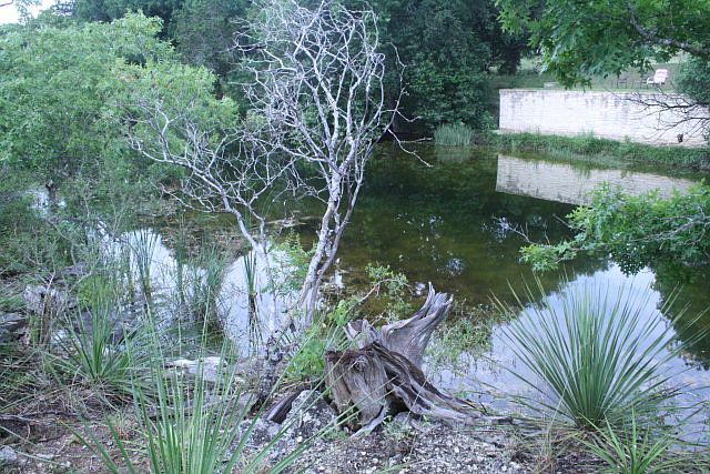 1st image of 14140 Winters Mill Pkwy