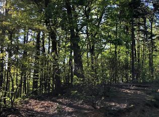 S Piney Spur, Ellijay, GA 30536