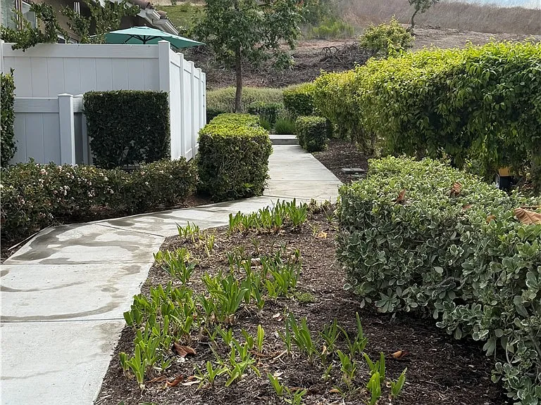 223 Valley View Ter — Photo 24