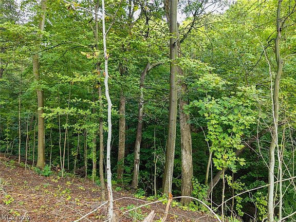4th image of 2959 Rohrer Rd