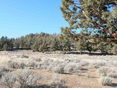 LOT 199 Hidden Valley Rd, Weed, CA, 96094