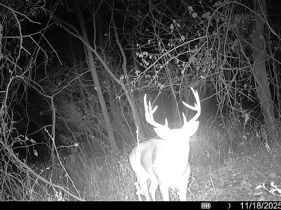 3rd image of 4379 County Road 2800