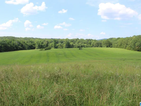 0 Jenifer Rd #1, Munford, AL 36268
