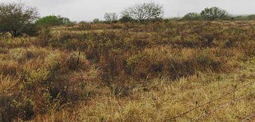 2nd image of 000000 W HWY 85