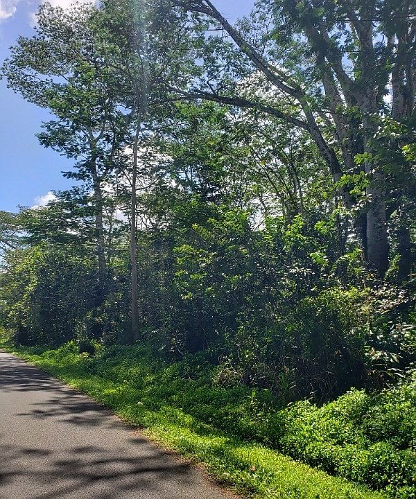 1st image of Kumu St Lot 6