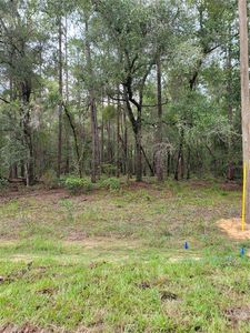 9295 N Sherman Dr #20, Dunnellon, FL, 34434