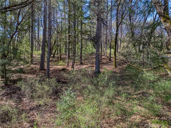 15347 Western Mine Rd, Middletown, CA 95461