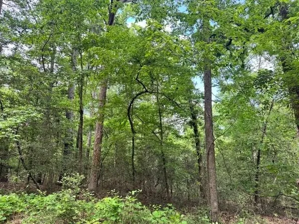 LOT 22 Red Bud Ln, Etoile, TX 75944