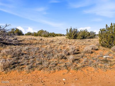 Sw4 Nw4 Section #T14n-r16e-4, Heber, AZ, 85928