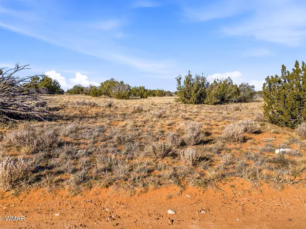 Sw4 Nw4 Section #T14n-r16e-4, Heber, AZ 85928