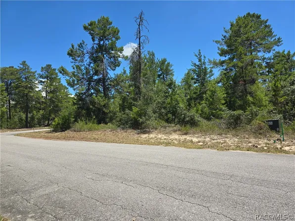 16 Heuchera Ct E, Homosassa, FL 34446