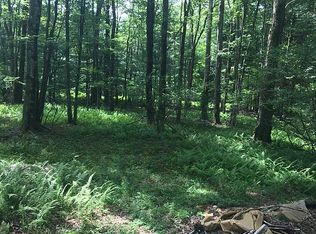 210 Old Tacy Rd #95, Swan Lake, NY 12783