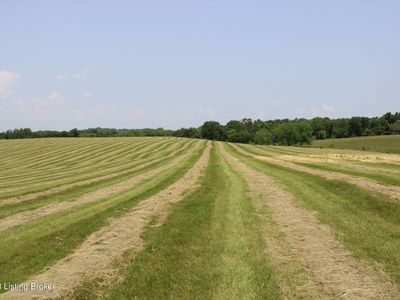 0 Salem Lake Rd, Hodgenville, KY, 42748