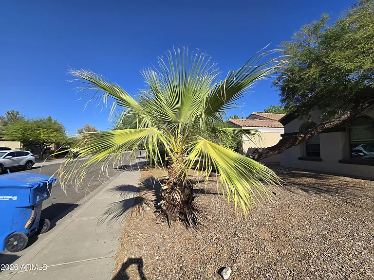 1173 E Mary Ln — Photo 28