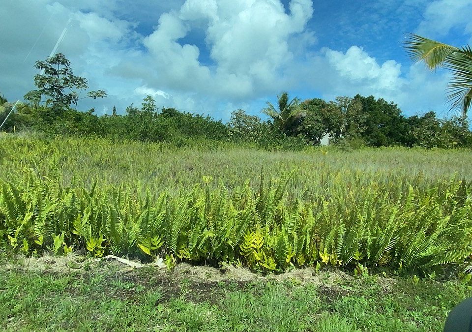 2nd image of W Moanauli Loop