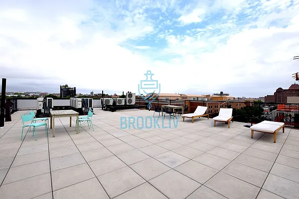 Rented by null | media 49