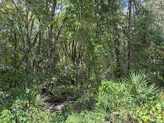 2nd image of PINE CABIN ROAD