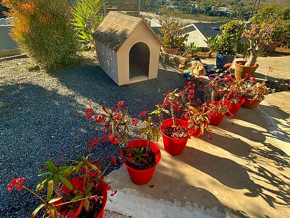 Garden area.