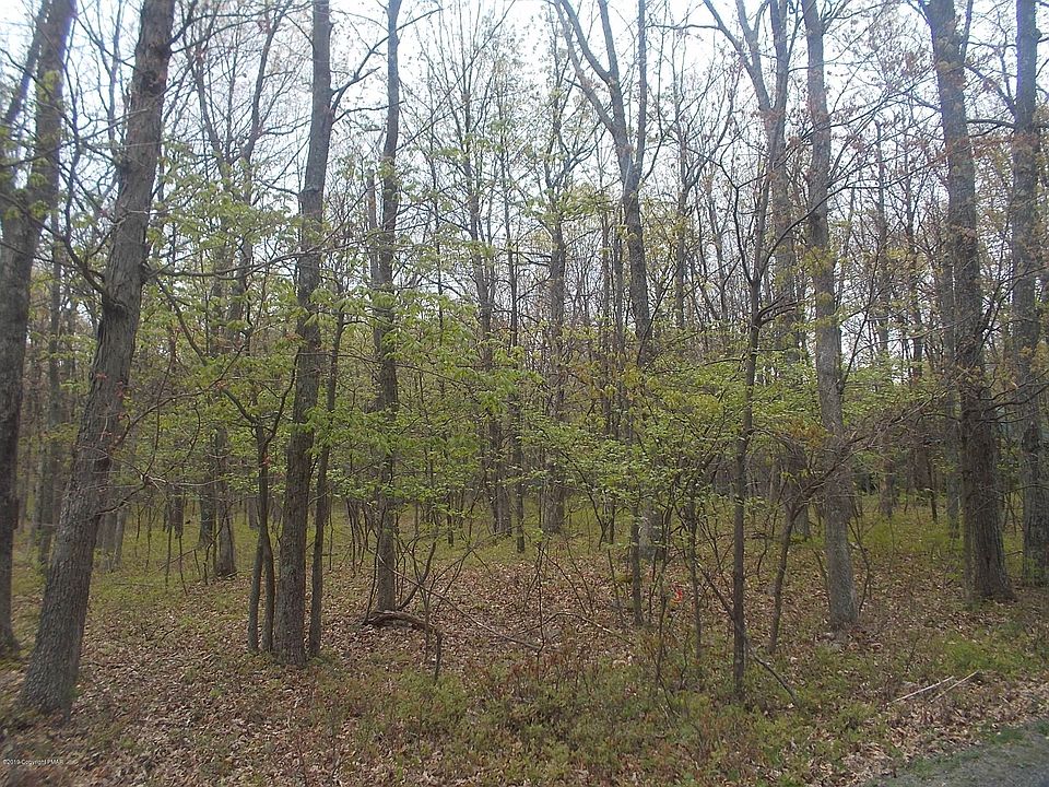 1st image of Piney Woods Dr
