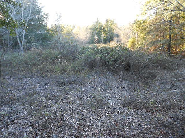 2nd image of 5 NW County Road 341