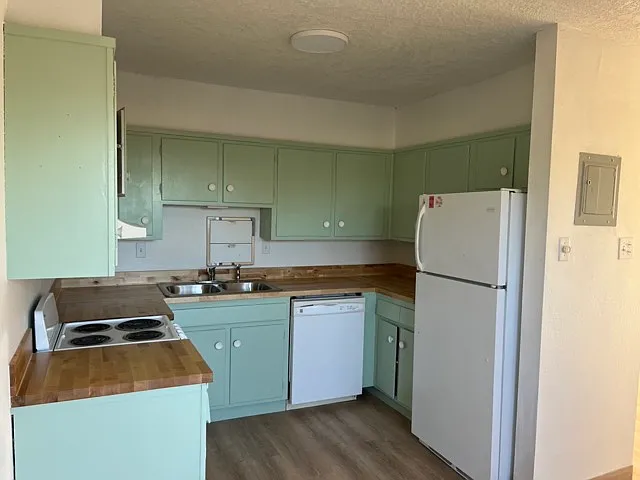 IMG_0132 Medium_08082023