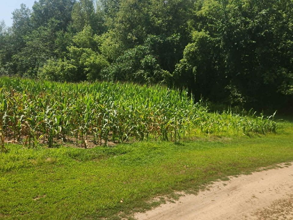 1st image of 220th Ave Lot 3