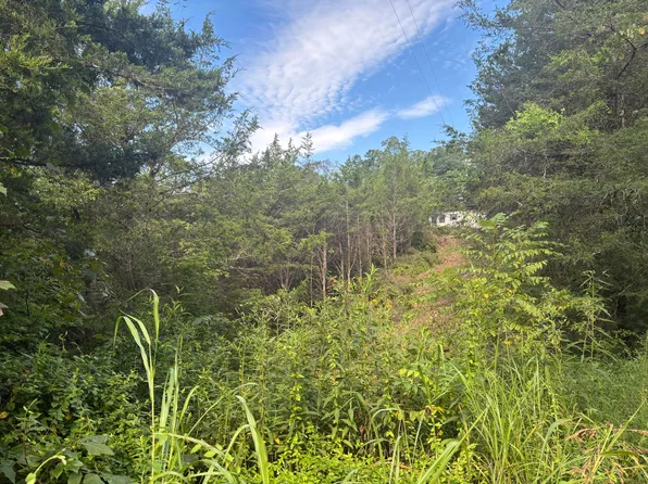 2854 Mountain Rd, Whitesburg, TN 37891