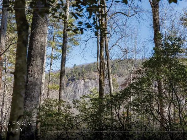 172 Lonesome Valley Road, Sapphire, NC 28774