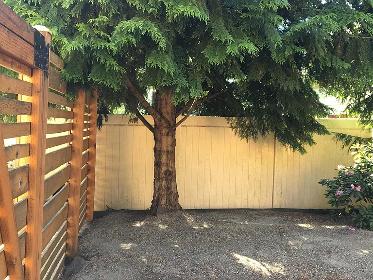side yard