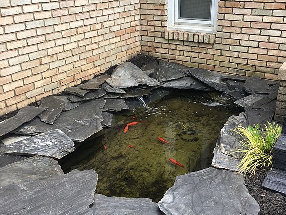 Koi pond