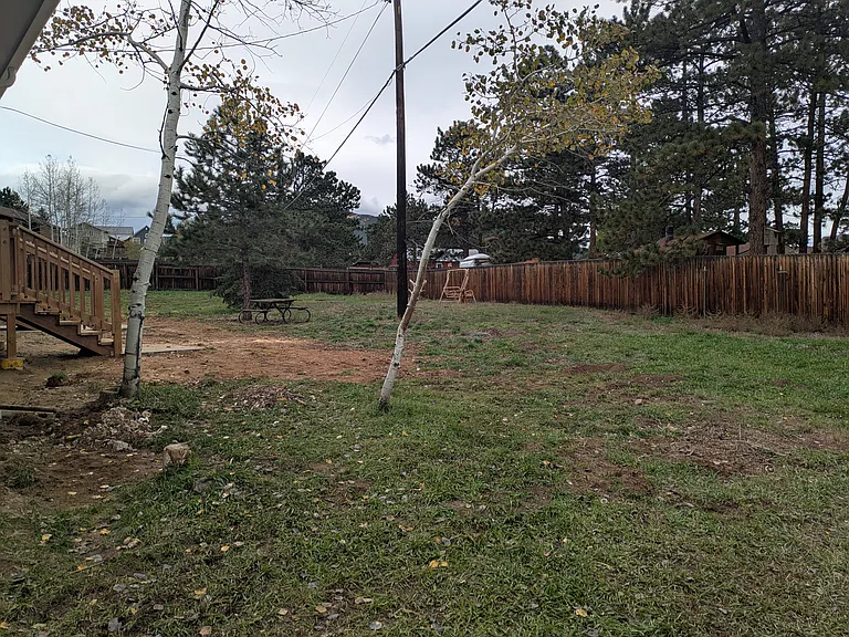 back yard