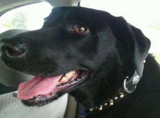 5930 Canterbury Run, Pinson, AL 35126