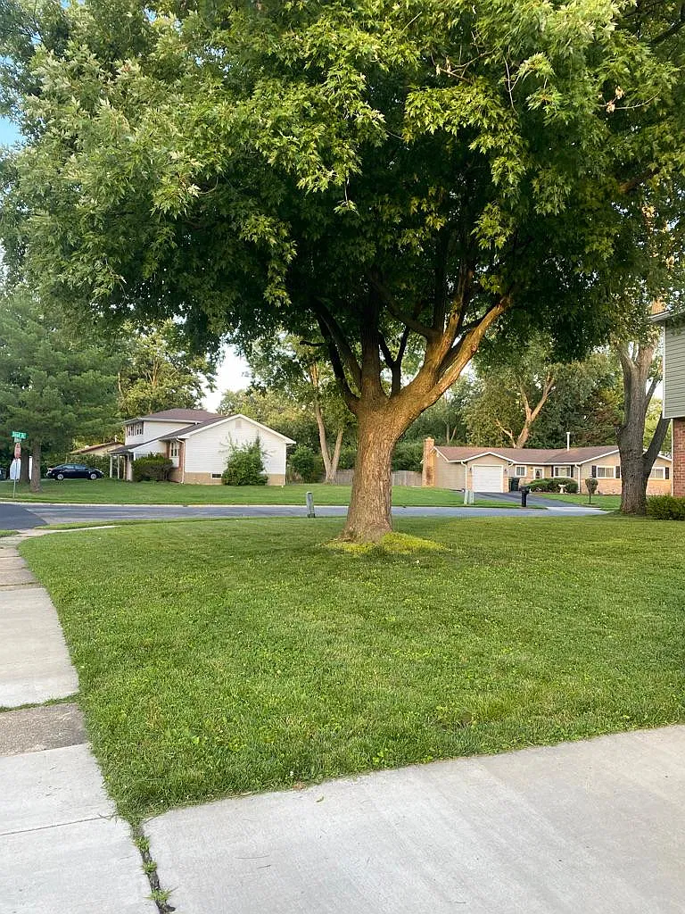 4 bed, 1800 sqft, $3,200 — Photo 2