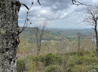 P2 LOT 5 Toxaway Dr, Lake Toxaway, NC 28474