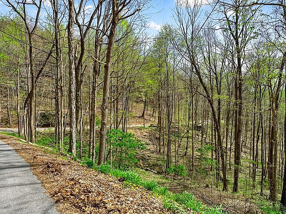 4th image of 0 White Oak Flatt Rd