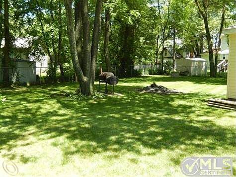 Large Backyard.jpg