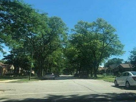 4th image of 12749 S Parnell Ave