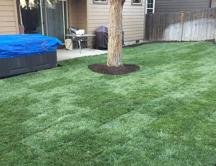 62995 Fresca St — Photo 26