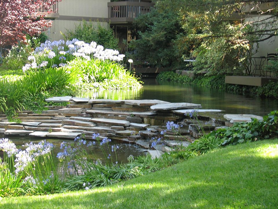 pond