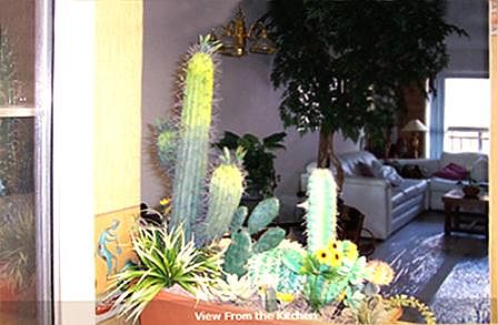 view from the kitchen